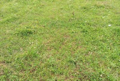 Spațiu comercial, în Central