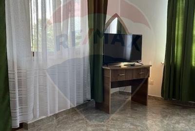 Casă individuală cu 6 camere cu Teren 1364 Mp în Ocna Șugatag - 14