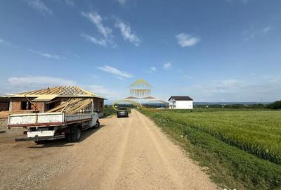 Teren de 500 mp, în Crihan - 3