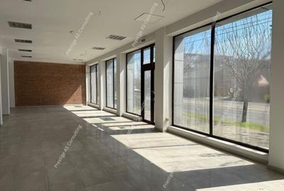 Spațiu comercial, de 485 mp, în Șagului - 2