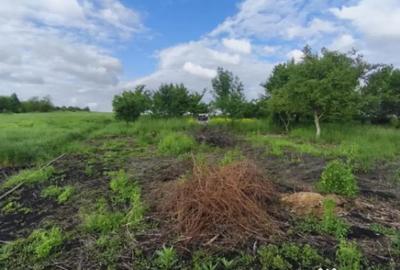 Casă cu 4 camere cu Teren 6000 Mp în Negostina - 5