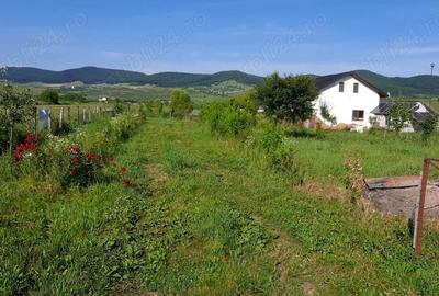 Casă cu 6 camere în Herina - 7