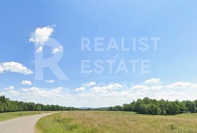 Teren intravilan de 42772 mp, în Teișani - 3