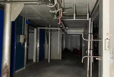 Spațiu comercial, de 500 mp, în Buziaș - 4