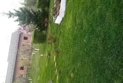 Casă cu Teren 1989 Mp în Ciritei - 6