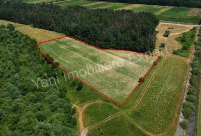 Teren de vanzare in comuna Baicule?ti, Judet Arge?. - 7