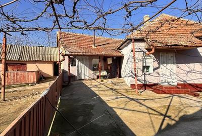 Casă cu 3 camere cu Teren 1413 Mp în Sânnicolau Român - 2