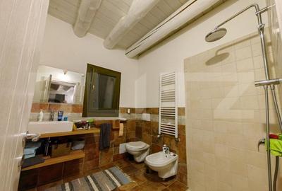 Casa individuala in stil mediteranean, 760 mp teren, zona Ciugud - 9