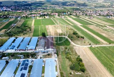 Teren Intravilan - Gilau - Autorizatie Construire Hale - 1