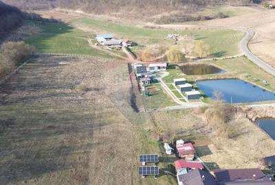Teren de 7000 mp, în Hoghilag - 7