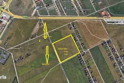 Teren de 80000 mp, în Triaj - 3