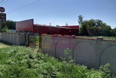 Movilita (IL)-teren de inchiriat aprox. 2 ha stradal, lan... - 2