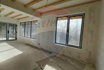 Proprietate premium, intimitate, liniste in Gura Vaii 4000 mp teren - 13