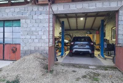 Spațiu comercial, de 50 mp, în Pianu - 2