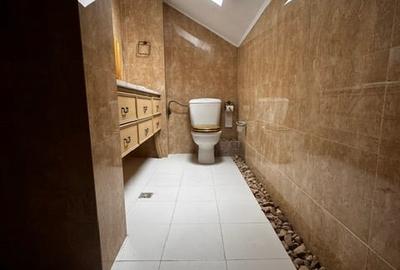 Baneasa, Sisesti, vanzare vila S+P+1E+M, renovata in 2014, 1576 mp teren, - 14