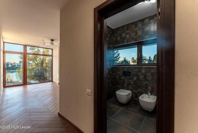 Casa TA de pe malul lacului Mogosoaia - 17