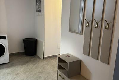 Garsonieră decomandată, mobilată în Theodor Pallady - 11