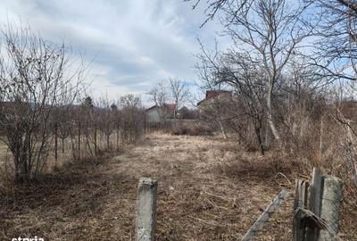 Casă cu 2 camere în Cornu - 11