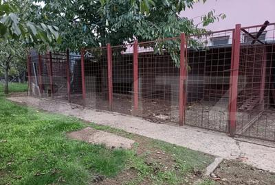 Teren de 1520 mp, în Păulești - 3