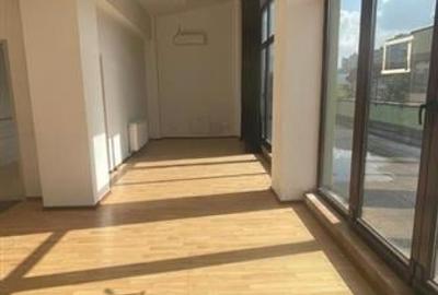 Iancului imobil clinica/scoala, 1000 mp utili, teren 1000 mp - 2