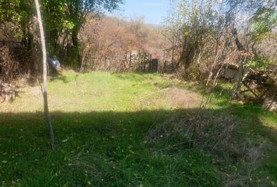 Teren intravilan si extravilan 4000 m2 Jud Buzau - 1