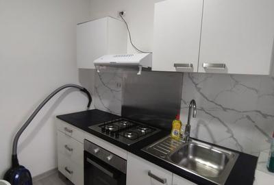 Apartament cu 2 camere, mobilat în Gara - 17