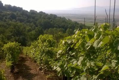 Teren în Cristian - 6