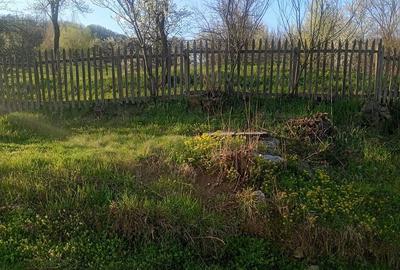 Teren de 8000 mp, în Meteș - 11