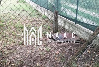 Teren Intravilan 10.000 mp | Livadă + Pădure de salcâm | Bărbătești - 7