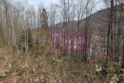 Spațiu comercial, în Central - 2