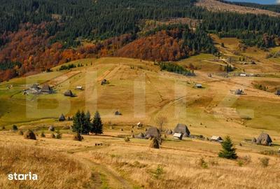 Teren de 125000 mp, în Ocoliș - 1