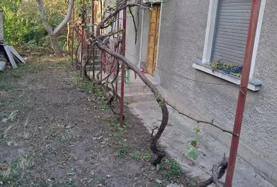 Casa cu teren 256mp str. Piatra Craiului zona Nymphaea - 2