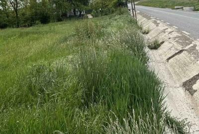 Teren agricol intravilan de 834 mp, în Central - 3