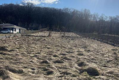 Spațiu comercial, în Ivănești - 3