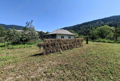 Se vinde proprietate la munte 7594mp - 2