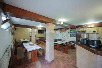 Oportunitate de investitie, Restaurantul Piatra Graitoare,Vartop,Bihor - 27