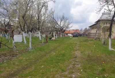 Spațiu comercial, în Dănicei - 4