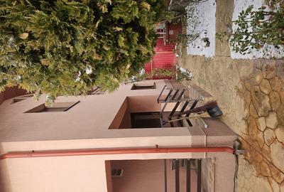 Vand casa in com.Cordun - 4