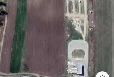 Teren de 3700 mp, în Șimian - 1