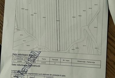 Teren de 23200 mp, în Bucovăț (Remetea Mare) - 1