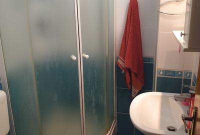 Apartament cu 3 camere decomandat în Cantacuzino - 14