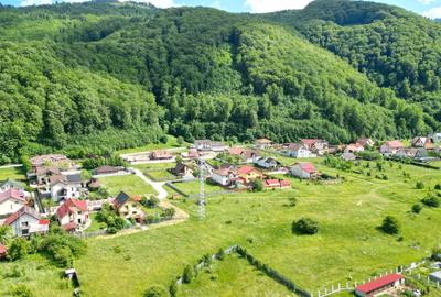 Teren Construcții intravilan de 1025 mp, în Bunloc - 3