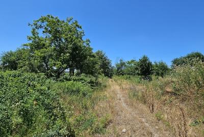 REL4001156 Teren de vanzare in Baneasa - 7