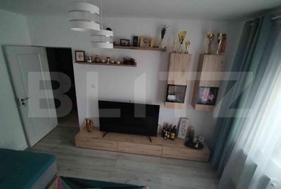 Apartament 2 camere Lunca Cetatuii - 2