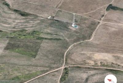 Vând teren extravilan - 1