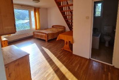 Casă cu 6 camere cu Teren 1807 Mp în Buftea - 6