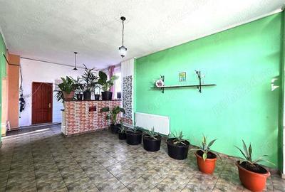 Teren in suprafata de 7774 intravilan | Constructi in suprafata de 1029 mp - 9