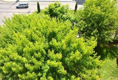 Inedit, super oportunitate! Vanzare apt 2 camere, foarte spatios in Targoviste - - 10