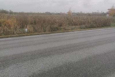 Teren de 3700 mp, în Săcueni - 2