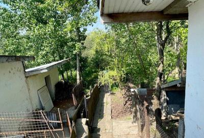 Casă cu 4 camere cu Teren 887 Mp în Bordușani - 4